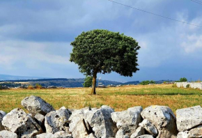 L'aria ro munti, Ragusa